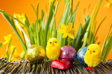 Easter Egg and Chick Setting