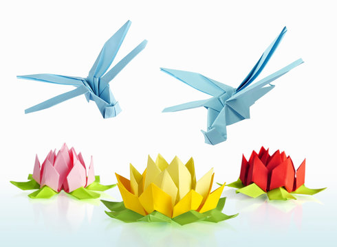origami blue dragonfly and lotus