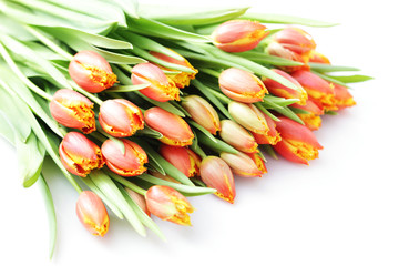 lovely tulips © matka_Wariatka