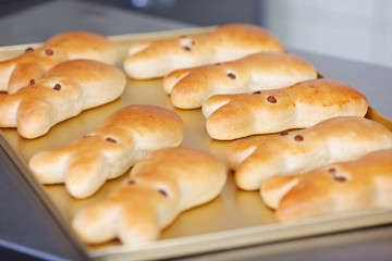 osterhasen auf dem backblech