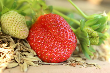 strawberries closeup shot