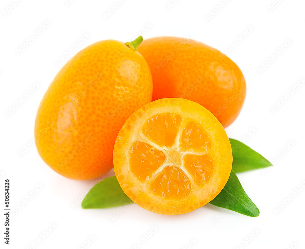 Wall mural sweet kumquat citrus fruits