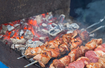 Juicy slices of meat with sauce prepare on fire (shish kebab)