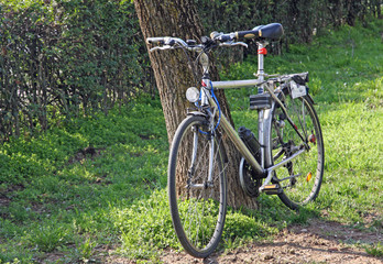 Fototapeta na wymiar tourist bicycle leaning against a tree during a day in late spri