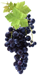 grappe de raisin