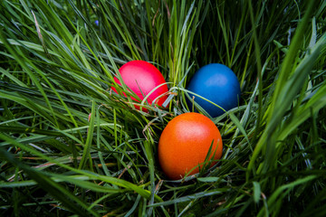 Easter eggs waiting for Easter in the grass