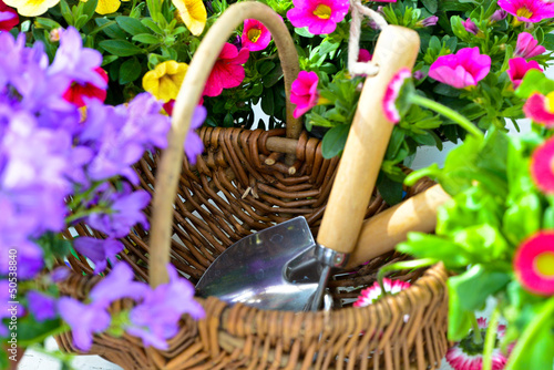 "Gartenkorb" Stockfotos und lizenzfreie Bilder auf Fotolia.com - Bild