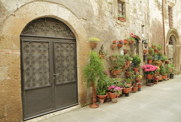 Fototapeta na wymiar kute bramy i wiele kwiatów w toskańskim miasteczku