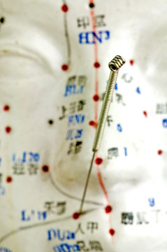Akupunktur Kopfmodell
