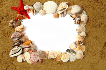 Fototapeta premium sand frame with the shells