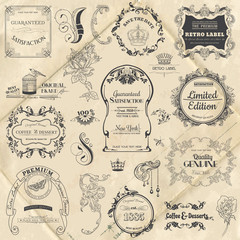 Vector Set: Calligraphic Design Elements and Page Decoration, Vi