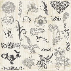 Vector Set: Calligraphic Flower Design Elements and Page Decorat