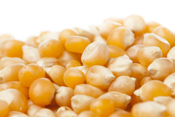 Organic Raw Yellow Corn Kernels