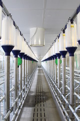 fütterungsanlage