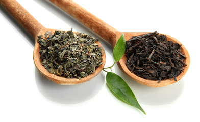 Dry tea with green leaves in wooden spoons, isolated on white