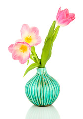 Obraz na płótnie Canvas Różowe tulipany w jasny wazonie, odizolowane na białym
