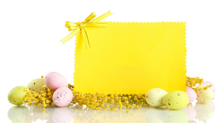 Empty card with easter eggs and mimosa flowers, isolated
