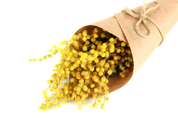 Bouquet of mimosa flowers, isolated on white