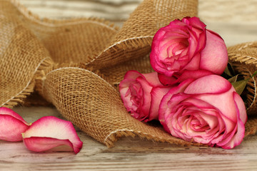 Rosenblüten