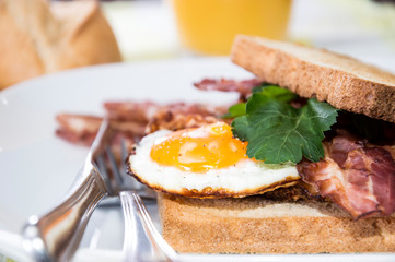 Fried Egg Sandwich