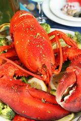 Red lobster on platter on serving table close-up