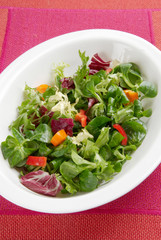 Crispy salad bowl