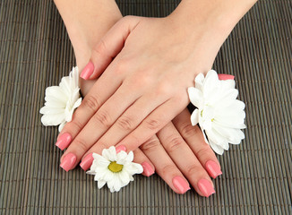 Woman hands with pink manicure and flowers,