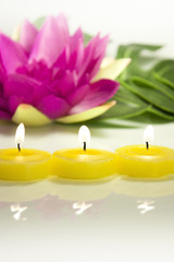 candles and water lily