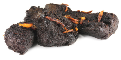Barbecued beef over white background