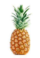 Pineapple - 50558878