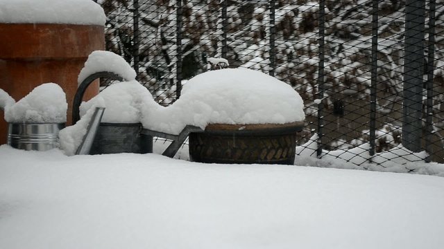 schnee1803a
