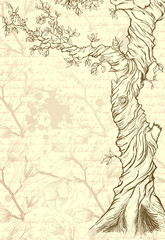 Sketch of the tree on grungy ornate paper