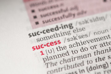 Success definition