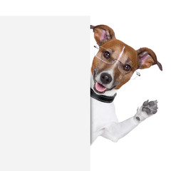 dog banner