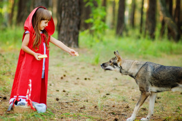 the girl feeds a wolf. the fairy tale 
