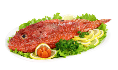 Scorfano - Red fish