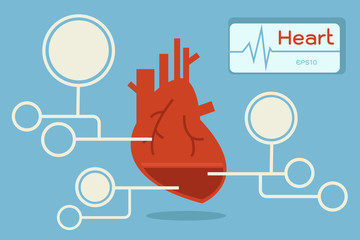 heart infographic, vector