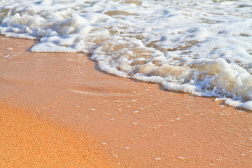 beach.