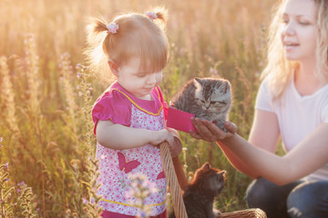 little girl with cats in basket outdoor