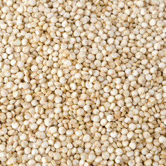 Quinoa seed closeup background