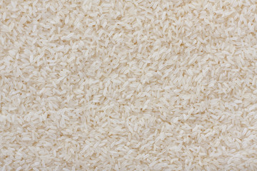 texture of rice