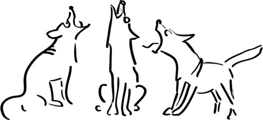 Three howling dogs