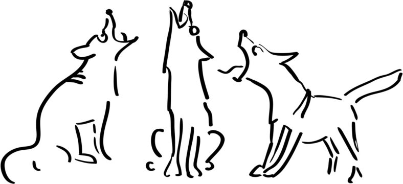 Three howling dogs