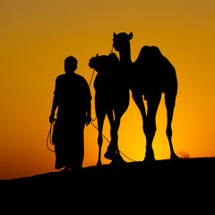 Silhouette of a man and two camels at sunset, India