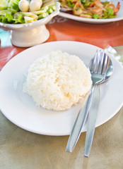 Stream Jasmin Rice on plate