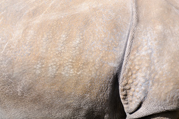 Rhino skin