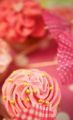 Pink Cupcakes with Sprinkles and Frosting