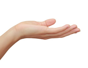 Woman hand holding or showing something isolated on white