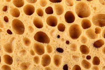 orange sponge background