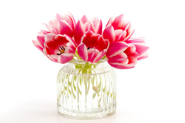 Tulpen in einer Glasvase